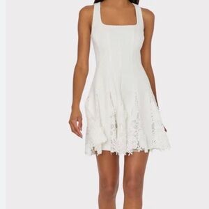 Milly Ariel Cady 3D Lace Minidress